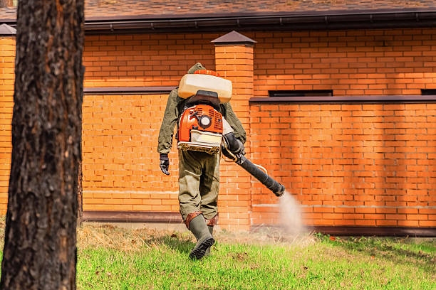Trusted Termite Control service in Bloomingdale, TN - Nex Pest Control